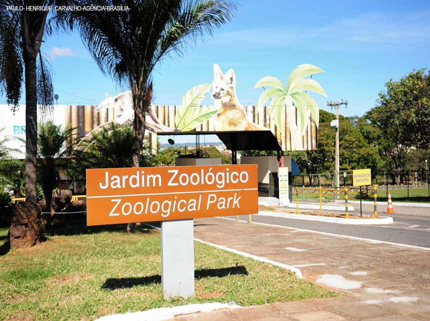 Zoológico de Brasília reabre para visitação