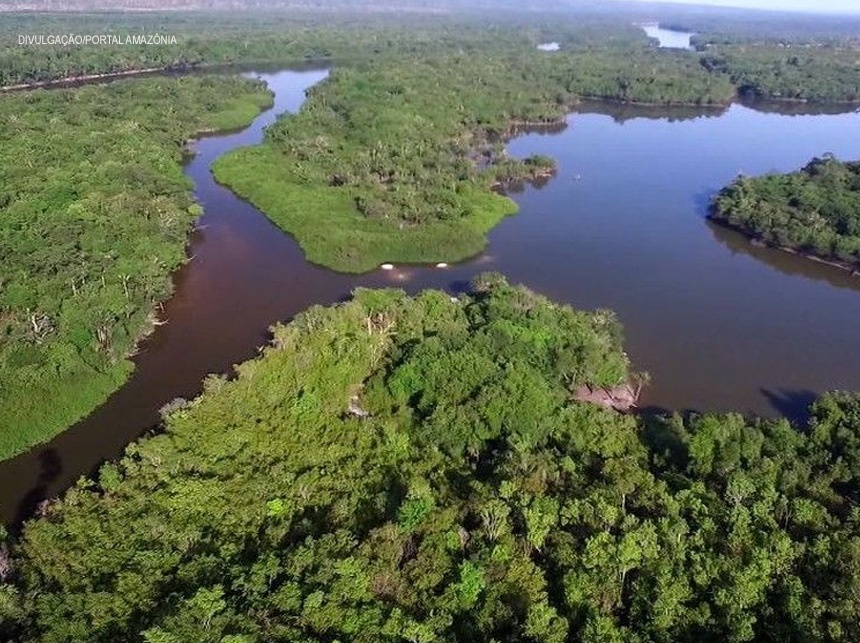 Estados da Amazônia Legal avaliam impacto ambiental de projetos ligados ao Fundo Amazônia