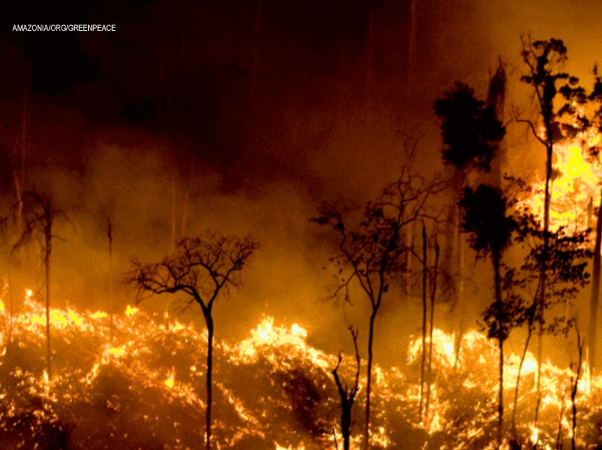 Guedes repassa R$ 60 milhões ao Ministério do Meio Ambiente após suspensão de combate a incêndios pelo Ibama