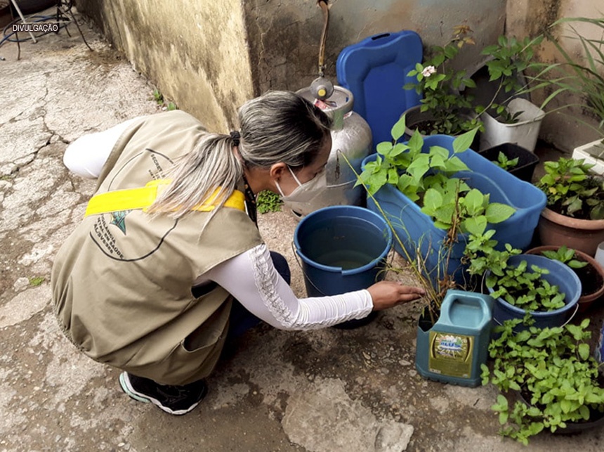 Saúde faz amostragem no DF para descobrir índice de manifestação do Aedes aegypti