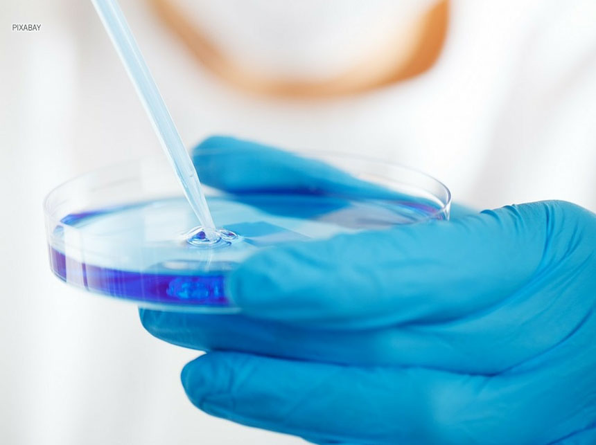 Iges-DF abre, nesta segunda (23), Fórum de Iniciação Científica