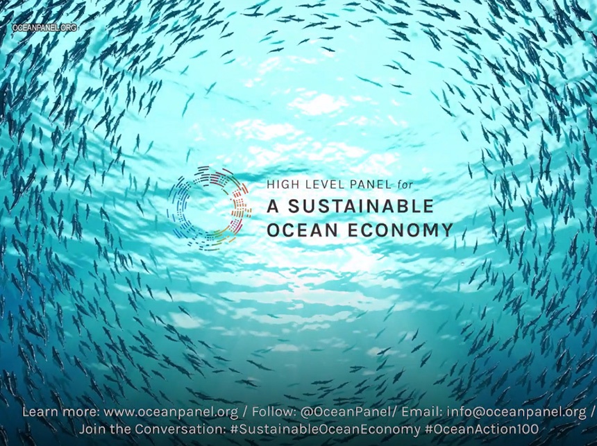 14 líderes mundiais comprometem-se a uma gestão dos oceanos 100 % sustentável para resolver desafios globais; apelo à adesão de mais países