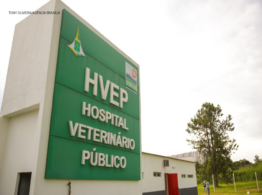Hospital Veterinário Público oferece vacinação para cães neste sábado (27)