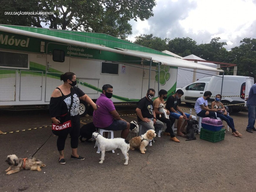 Começa campanha de 2021 para castração de cães e gatos