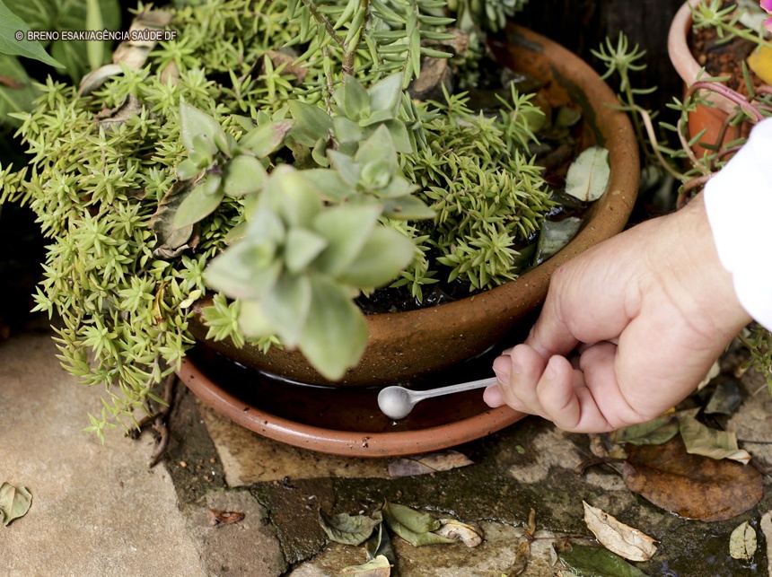 Dengue: 877 imóveis vistoriados em um dia em Planaltina