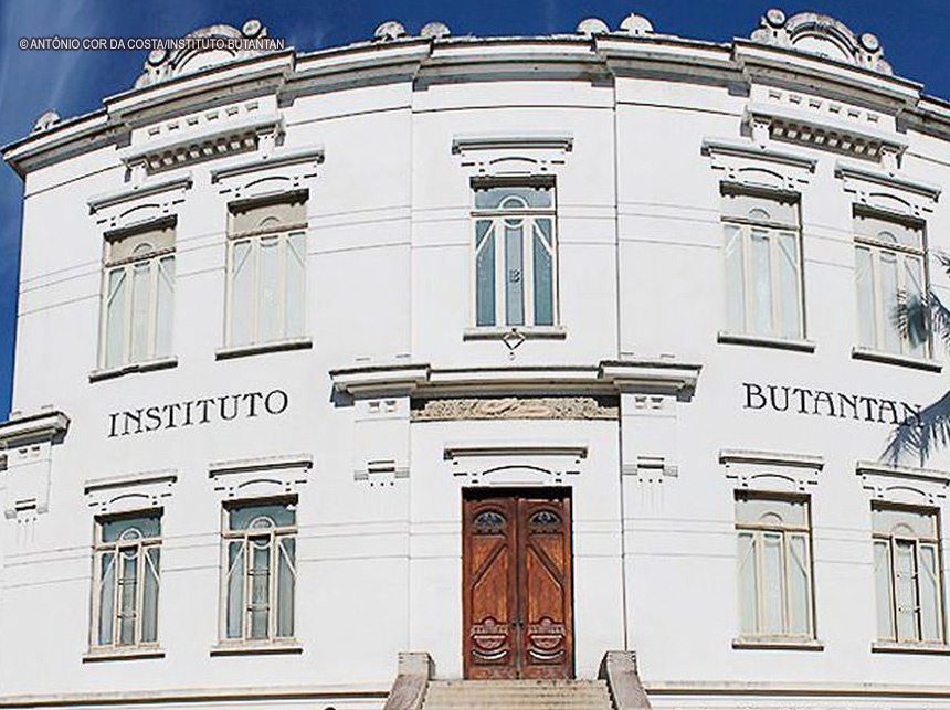 Ainda sem teste em humanos, Butantan inicia produção de sua vacina