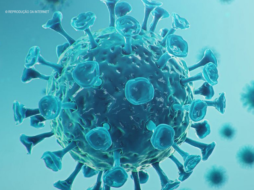 Covid-19: vírus primitivo pode aumentar mortes em UTIs, diz Fiocruz