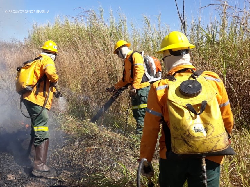 Brasília Ambiental vai contratar brigadistas florestais