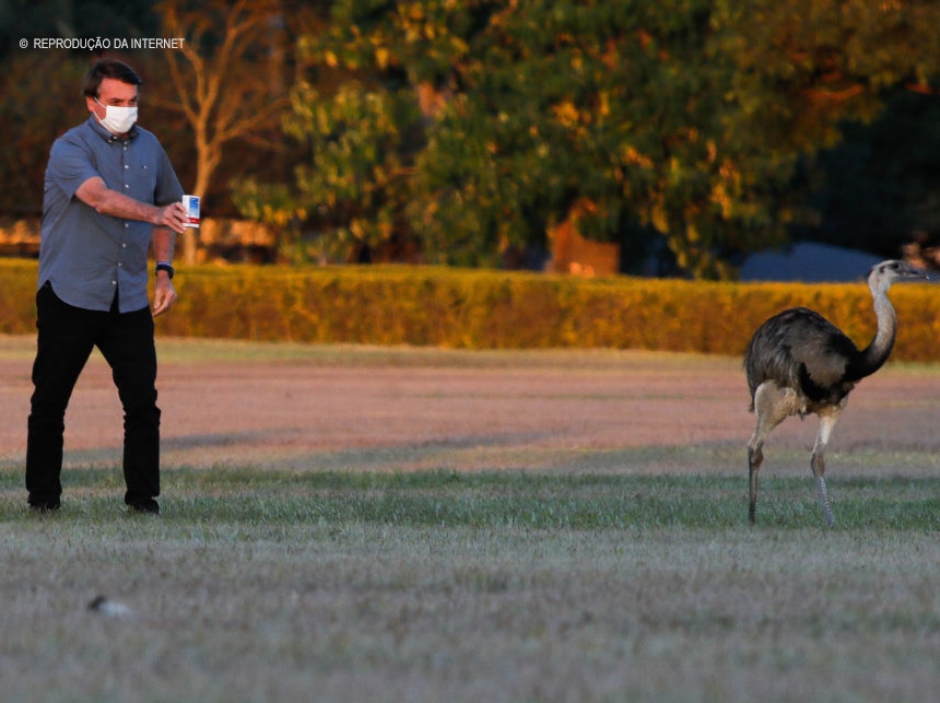 Crias de Bolsonaro? Profissionais de saúde negacionistas decidem não se vacinar contra a Covid