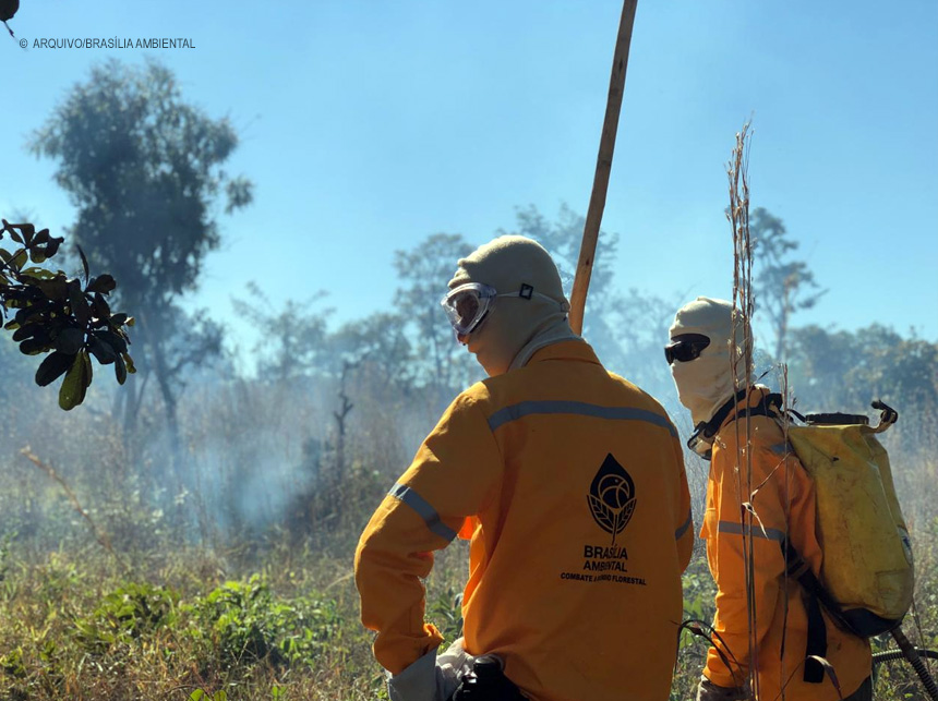 Excesso de acessos sobrecarrega site e IbranDF suspende inscrição de curso de brigadista florestal