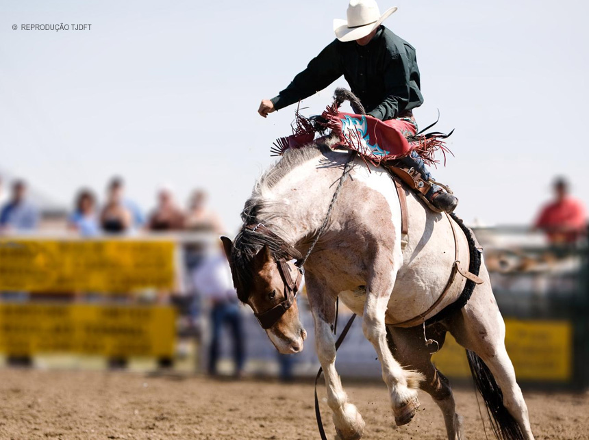 Justiça proíbe realização de provas de que envolvam maus-tratos a animais em campeonato nacional