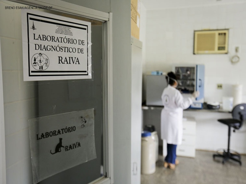 DF tem laboratório de diagnóstico de raiva que é referência para outras unidades federativas