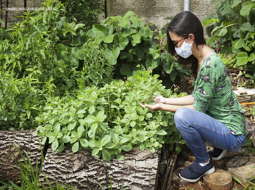 Rede pública de Saúde do DF recorre à fitoterapia para promover bem-estar