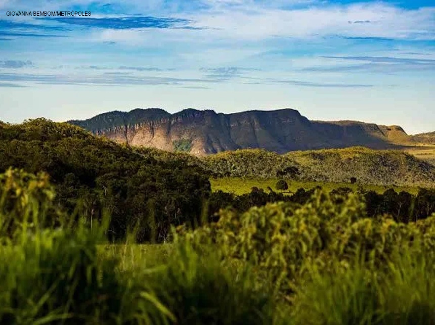 Turistas voltam da Chapada dos Veadeiros com leishmaniose e alertam autoridades