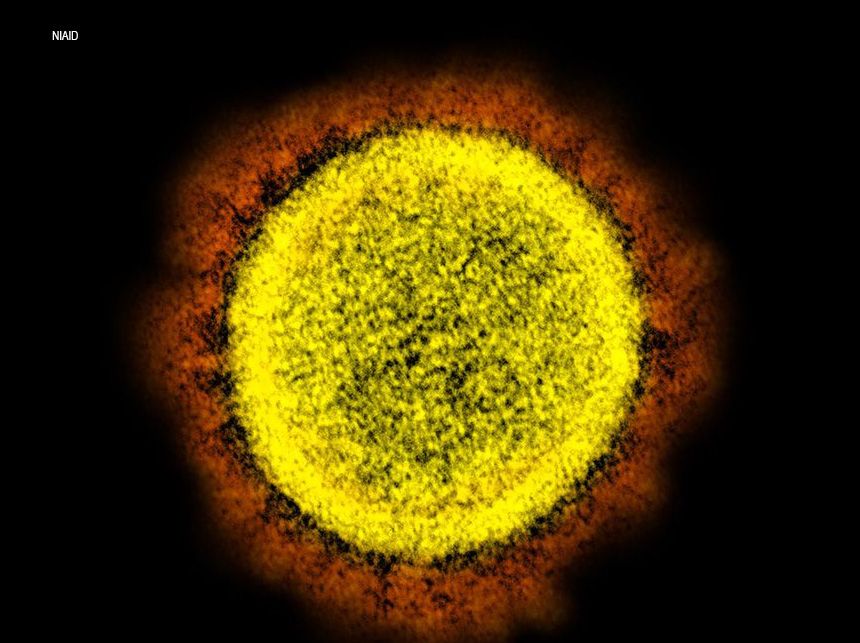 Sobe para 74 o número de casos da variante Ômicron no Brasil
