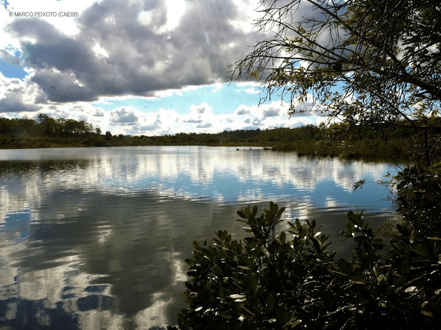 “Perto da água, tudo é feliz”