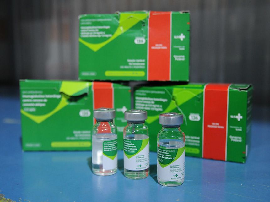 Cuidado! Animais peçonhentos picaram 3,3 mil no DF