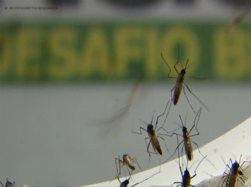Brasil ultrapassa 500 mortes por dengue em 2022