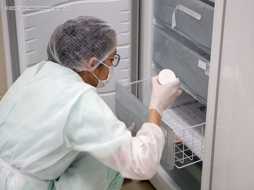 Bancos de leite materno recebem doações para recompor estoques