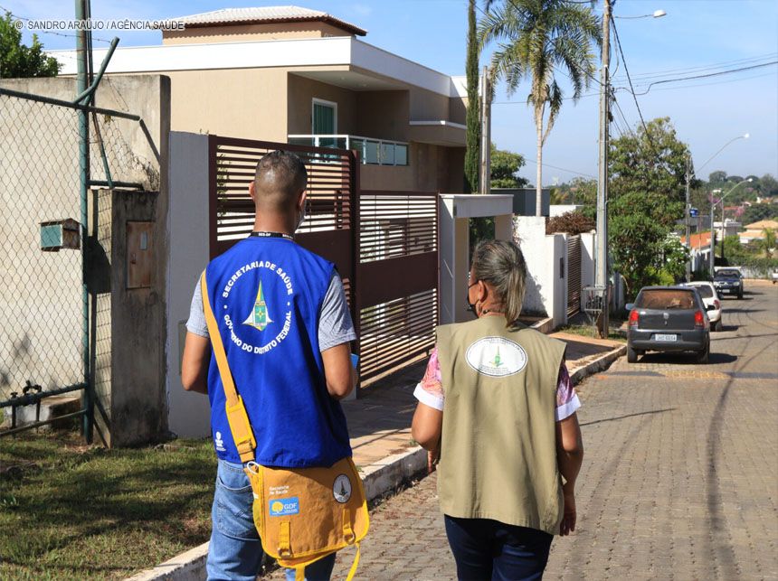 Armadilhas coletam ovos de Aedes aegypti para ações de prevenção