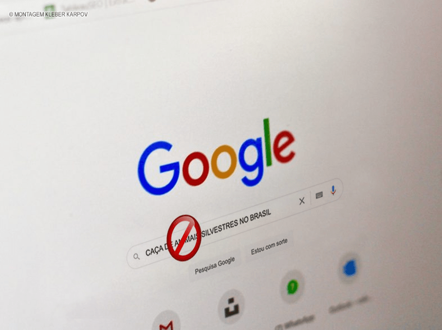 Google deve excluir do YouTube vídeos que fazem apologia à caça de animais silvestres