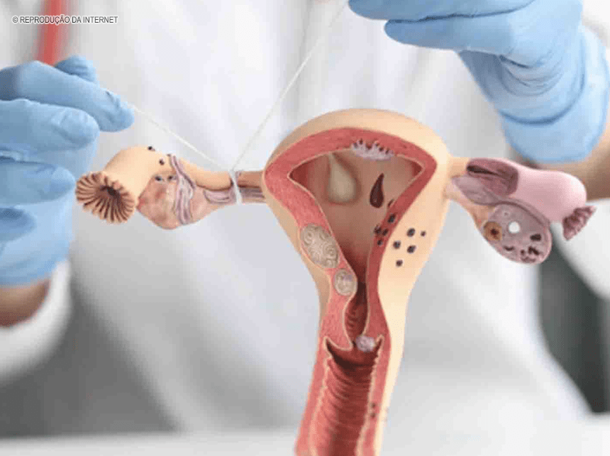 “É mais um reconhecimento do direito das mulheres de exercerem plenamente o controle e a decisão sobre seus corpos”