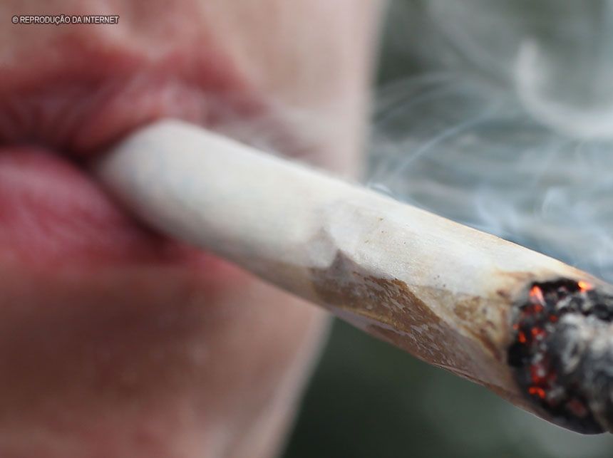 O tempo presente requentado com o pior de um passado distante: Uma reflexão sobre o simbolismo nefasto da maconha