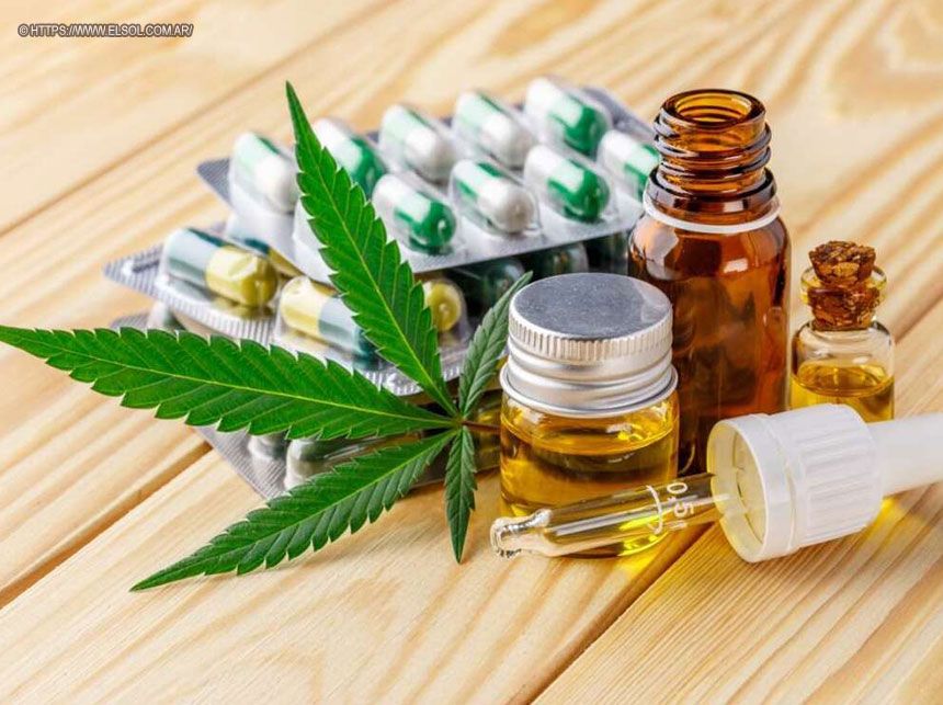 Pacientes usuários da cannabis medicinal realizam protesto, na sexta (21), em frente ao Conselho Federal de Medicina