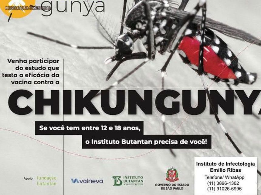 Instituto recruta voluntários para teste de vacina contra chikungunya