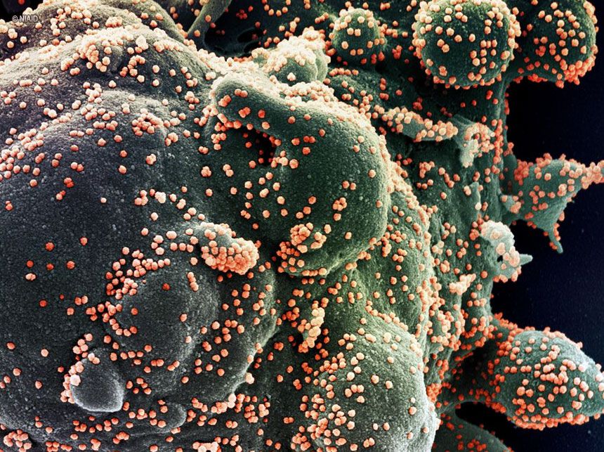 Covid-19 deixou 40 mil crianças e adolescentes órfãos de mãe no Brasil