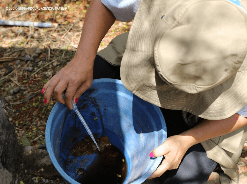 Ação mobiliza Sobradinho contra a dengue neste sábado (19)