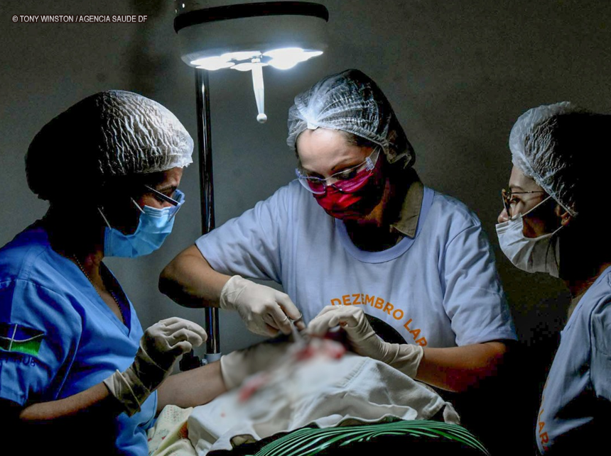 Ibaneis autoriza prorrogação de 1,4 mil contratos temporários da saúde