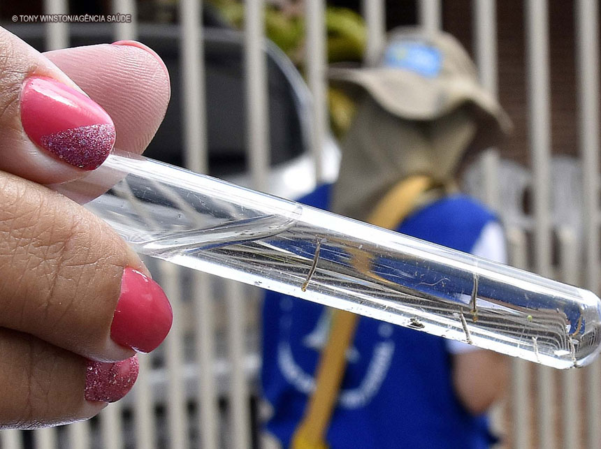 GDF reforça combate à dengue