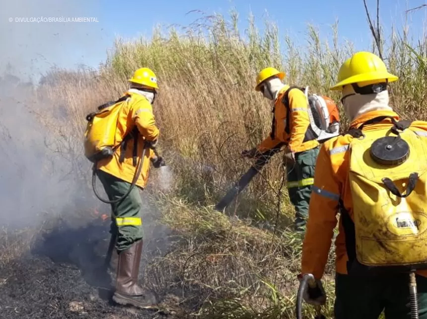 IbramDF lança edital para curso de formação de brigadistas florestais