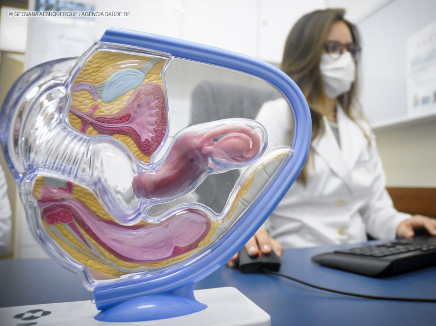 Laqueadura e vasectomia: saiba o que muda com as novas regras