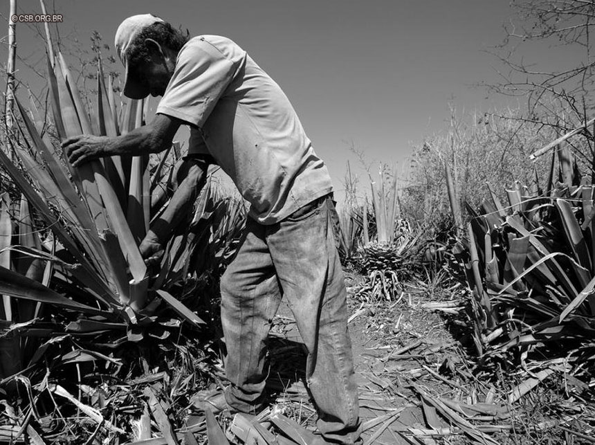 Mais de 200 pessoas são resgatadas do trabalho escravo em GO e MG