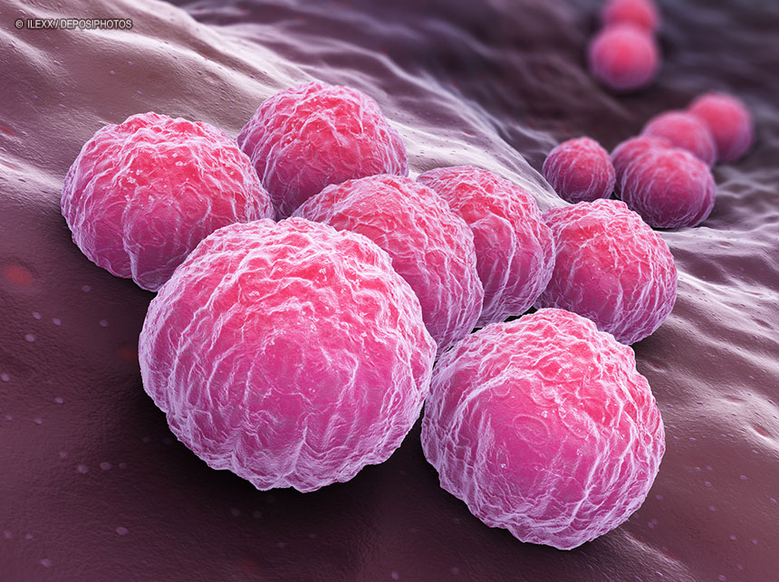 Clamídia: praticamente metade da população brasileira nunca ouviu falar de doença silenciosa que pode causar infertilidade, diz estudo