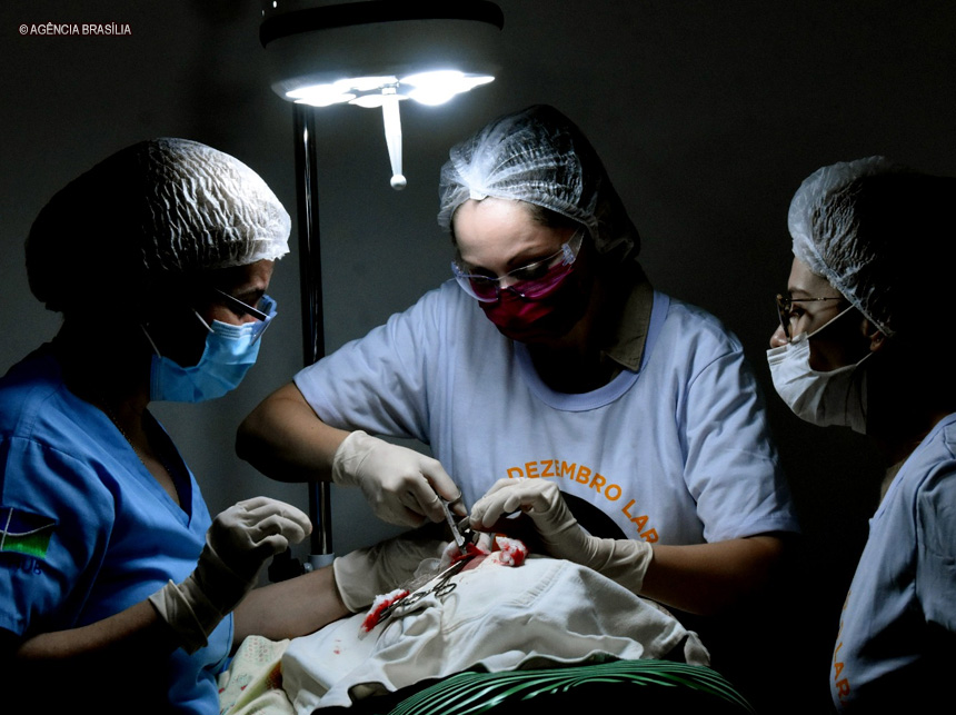 Contrato com rede privada possibilita realização de 849 cirurgias eletivas