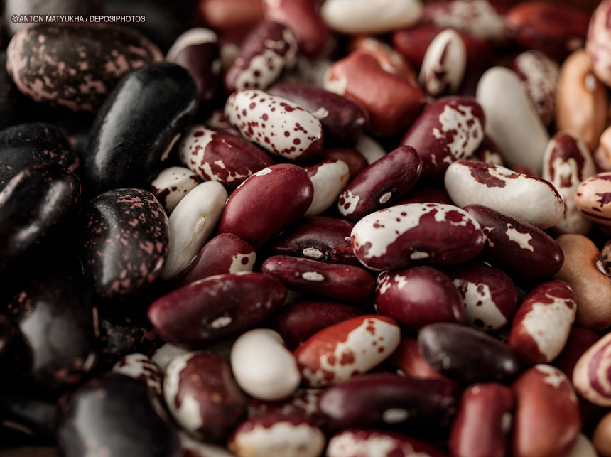 Risco à Saúde: Ministério da Agricultura manda recolher lotes de feijão das marcas Da Mamãe e Sanes impróprios para consumo