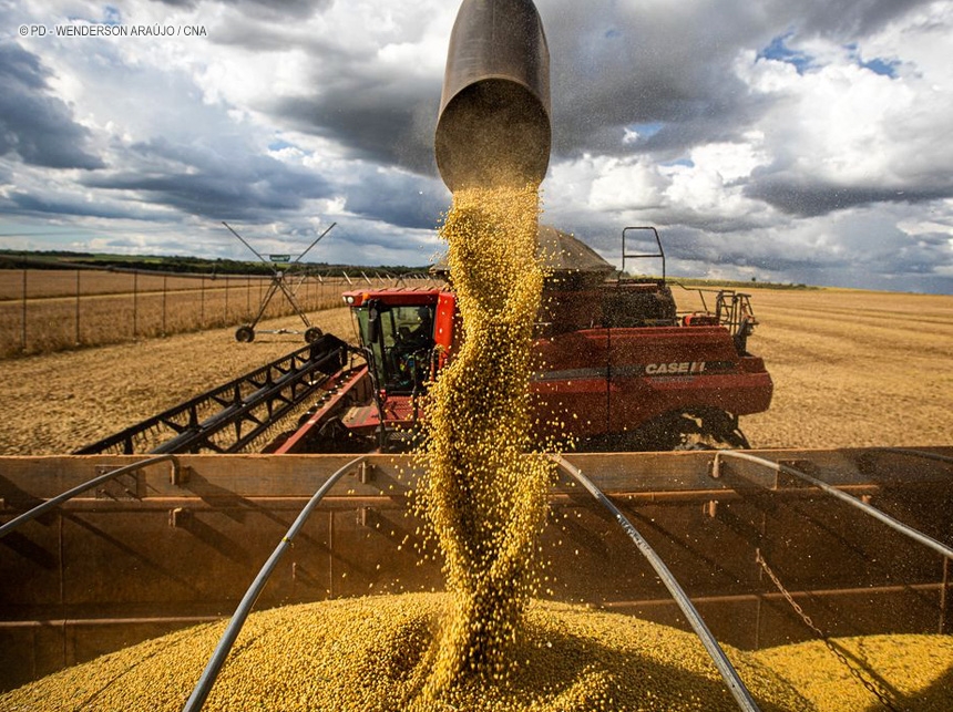 Colheita de soja no DF deve ultrapassar 318 mil toneladas neste ano
