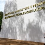 Gripe Aviária Influenza