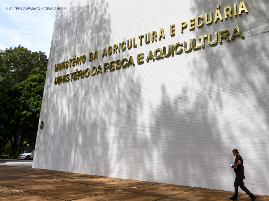 Brasil tem primeiro caso de influenza aviária em aves domésticas