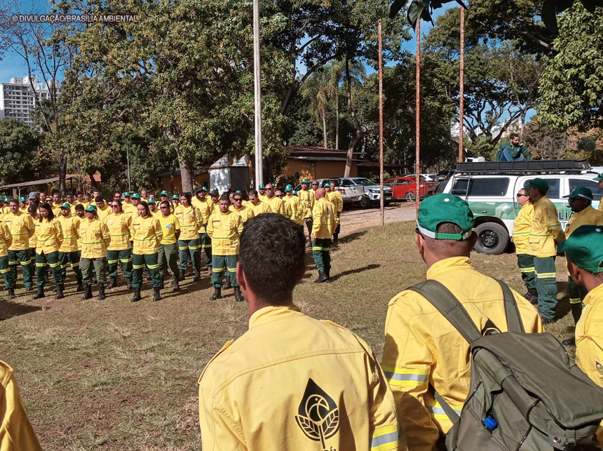 Novos brigadistas florestais assumem contrato temporário