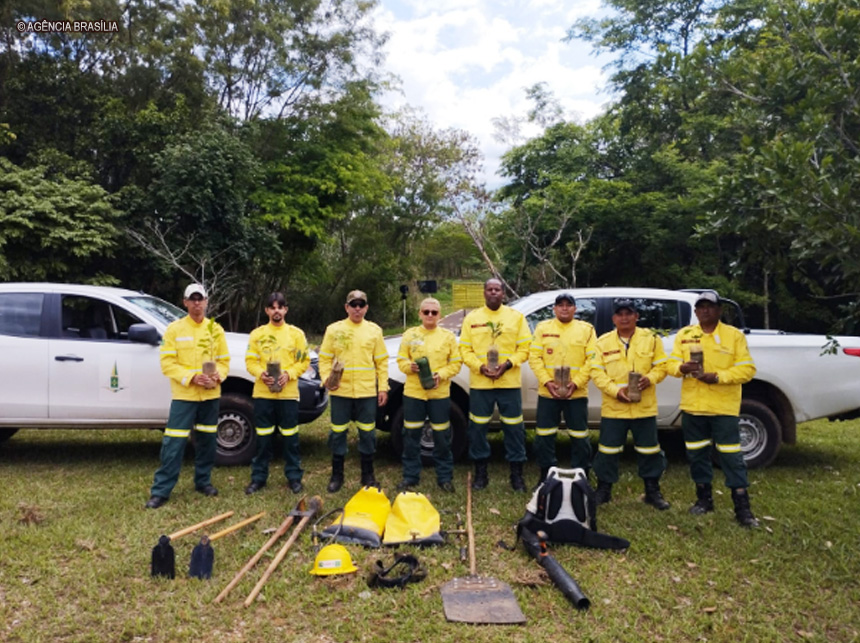 Ibram divulga resultado final para contratação de brigadistas florestais