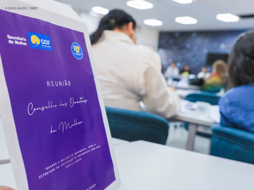 Conselho dos Direitos da Mulher do DF elege entidades civis