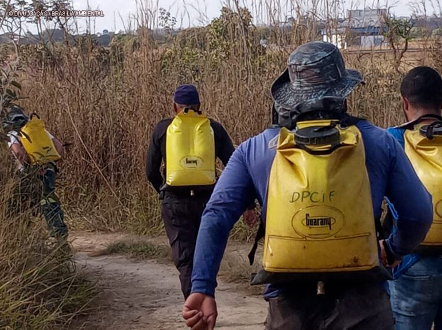 IBRAM divulga resultado preliminar da segunda etapa de seleção de brigadistas