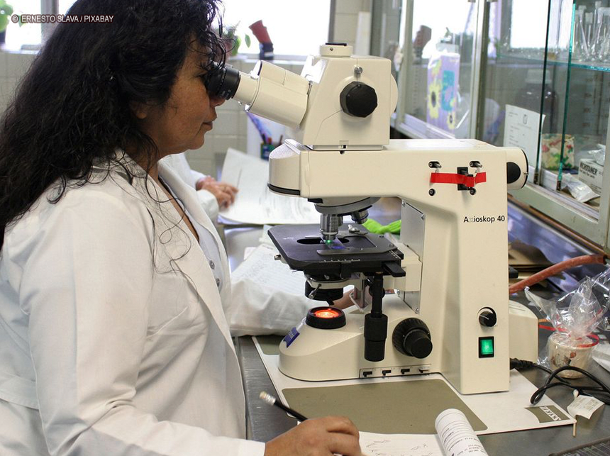 Prêmio chama atenção para desafios enfrentados por mulheres cientistas