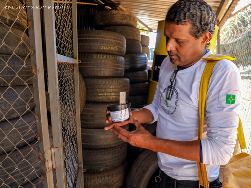 Casos de dengue seguem em queda no Distrito Federal