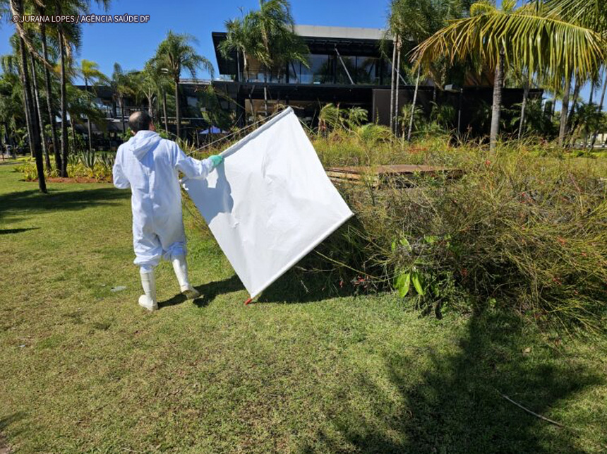 Febre maculosa: governo realiza inspeção no Pontão do Lago Sul