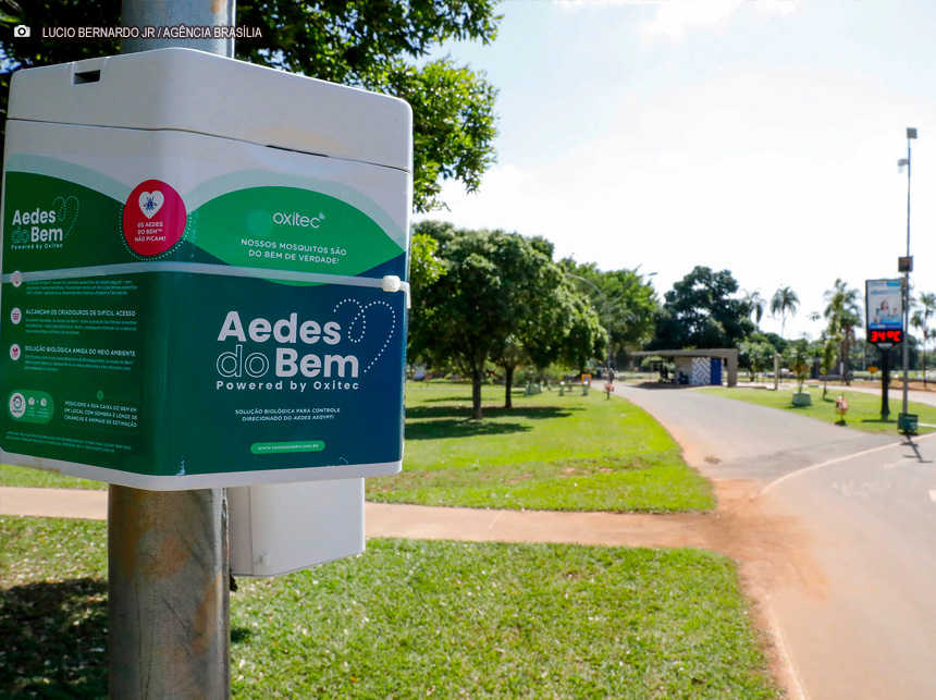 Parque da Cidade ganha armadilhas para combater Aedes aegypti
